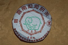 Da Yi Xiang Xiao Been, “Green Elephant”