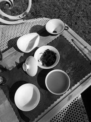 Früh am Morgen im Garten Tee