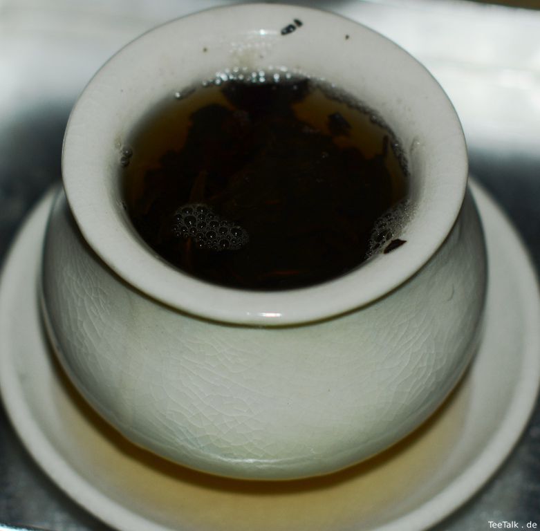 Innenansichten eines koreanischen Teepilzes II