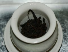 Innenansichten eines koreanischen Teepilzes I