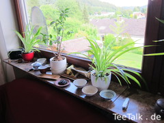 Teeutensilien als Fensterdekos auf der Teezui 4