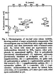 Chromatogramm ais Biophys. J.